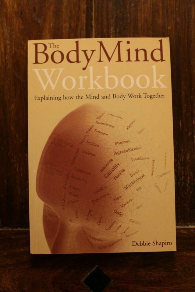 Debbie Shapiro - The Body Mind Workbook