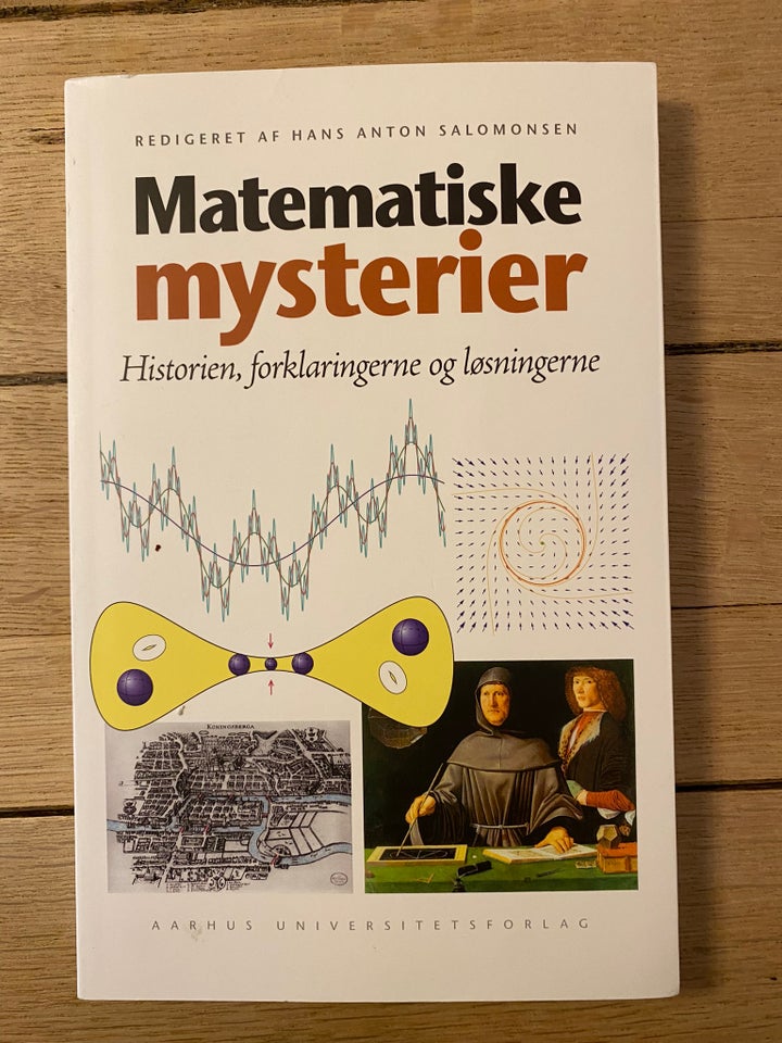 Matematiske mysterier - H. A. Salomonsen